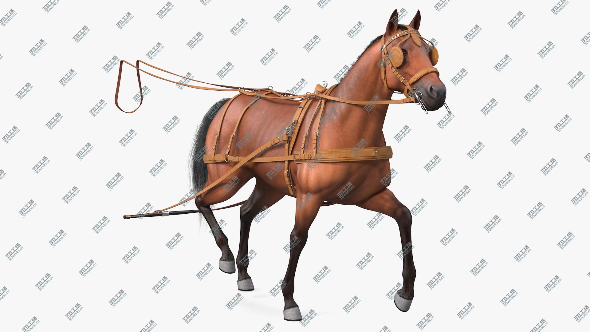 images/goods_img/20210313/Horse Drawn Leather Single Driving Harness Walking Pose Fur 3D model/1.jpg